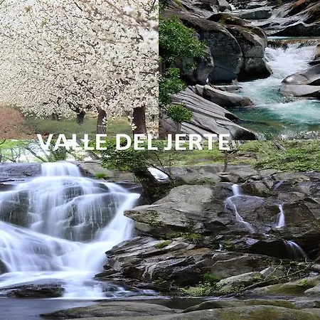 Capuchinas פלאסנסיה