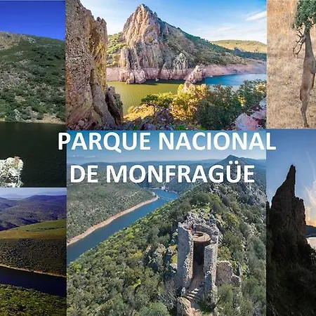 Capuchinas פלאסנסיה